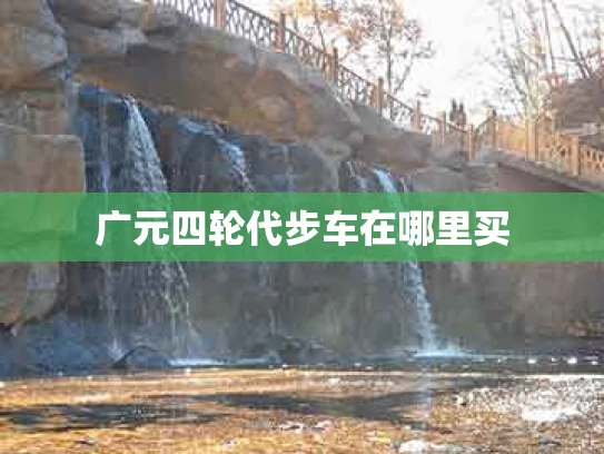 广元四轮代步车在哪里买