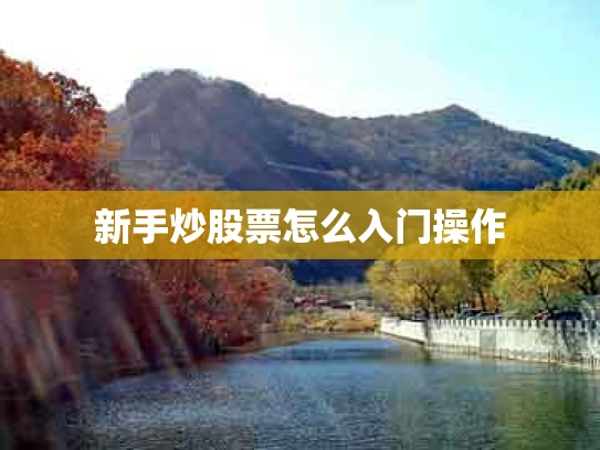 新手炒股票怎么入门操作