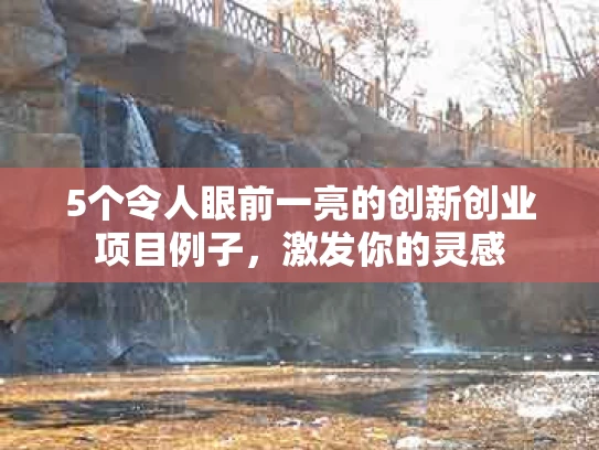 5个令人眼前一亮的创新创业项目例子，激发你的灵感