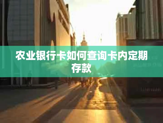 农业银行卡如何查询卡内定期存款