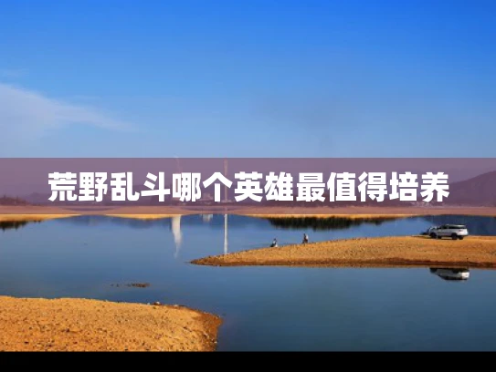 荒野乱斗哪个英雄最值得培养