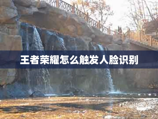 王者荣耀怎么触发人脸识别