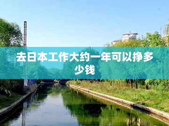去日本工作大约一年可以挣多少钱