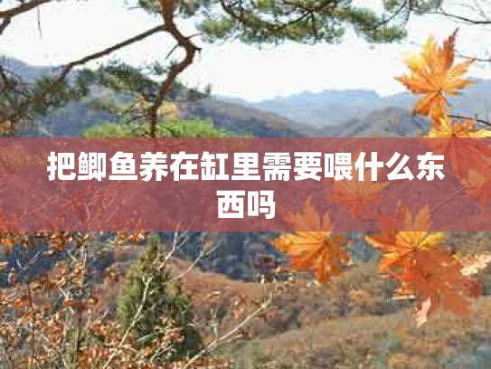 把鲫鱼养在缸里需要喂什么东西吗