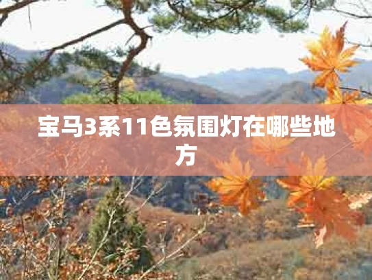 宝马3系11色氛围灯在哪些地方