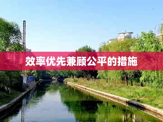 效率优先兼顾公平的措施