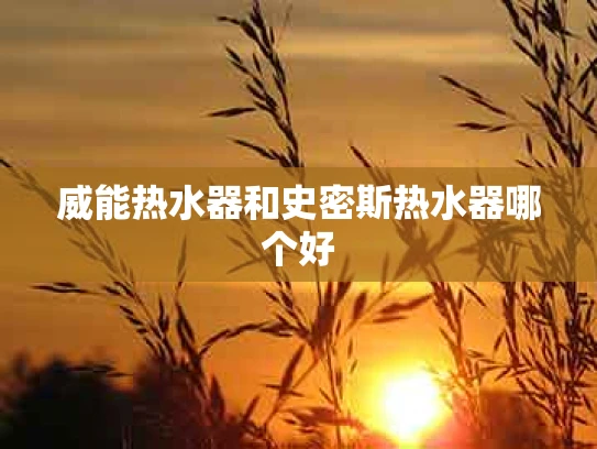 威能热水器和史密斯热水器哪个好