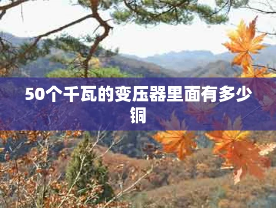 50个千瓦的变压器里面有多少铜