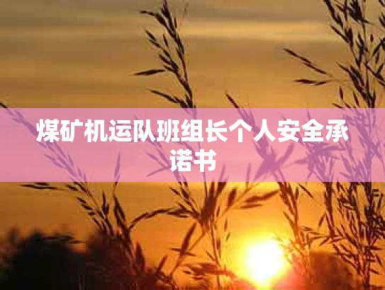 煤矿机运队班组长个人安全承诺书