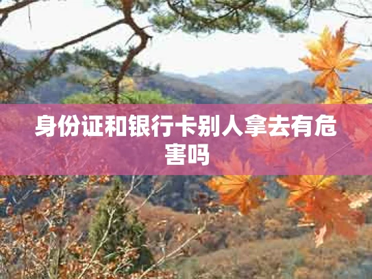 身份证和银行卡别人拿去有危害吗