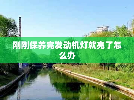 刚刚保养完发动机灯就亮了怎么办