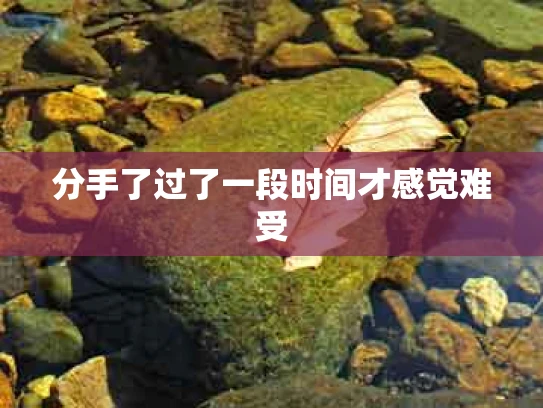 分手了过了一段时间才感觉难受