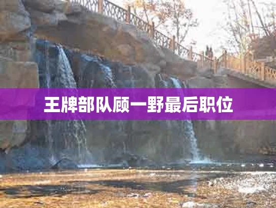王牌部队顾一野最后职位