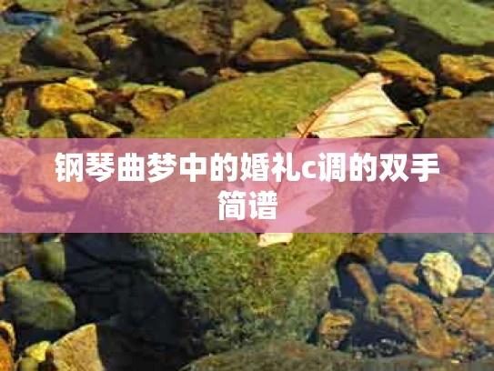 钢琴曲梦中的婚礼c调的双手简谱