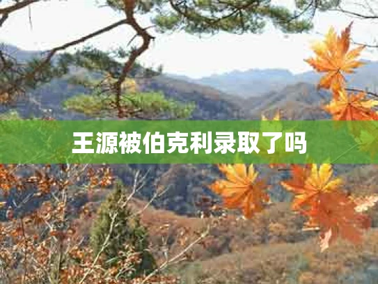 王源被伯克利录取了吗