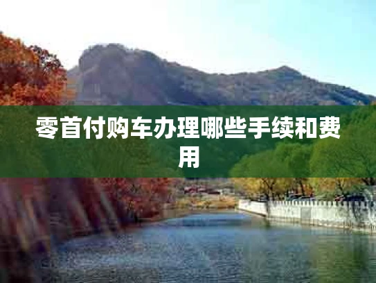 零首付购车办理哪些手续和费用