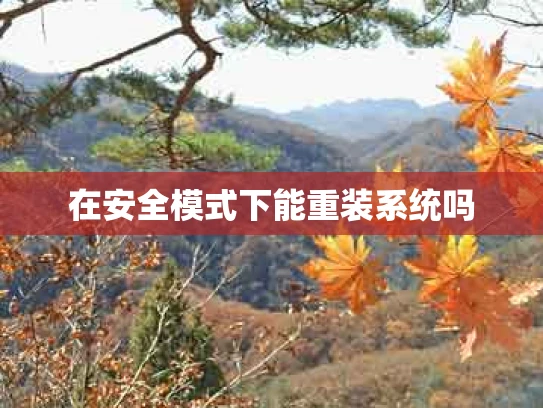 在安全模式下能重装系统吗