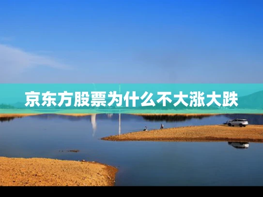 京东方股票为什么不大涨大跌