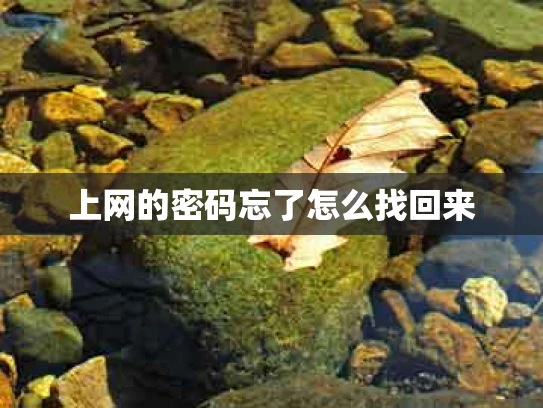 上网的密码忘了怎么找回来