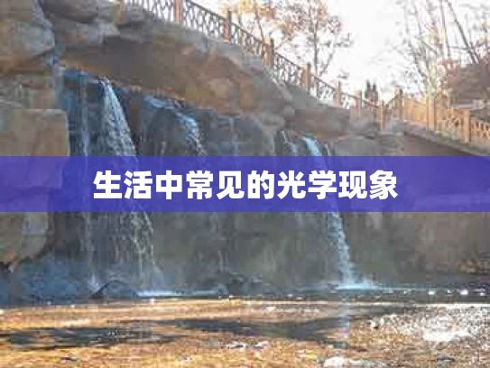 生活中常见的光学现象