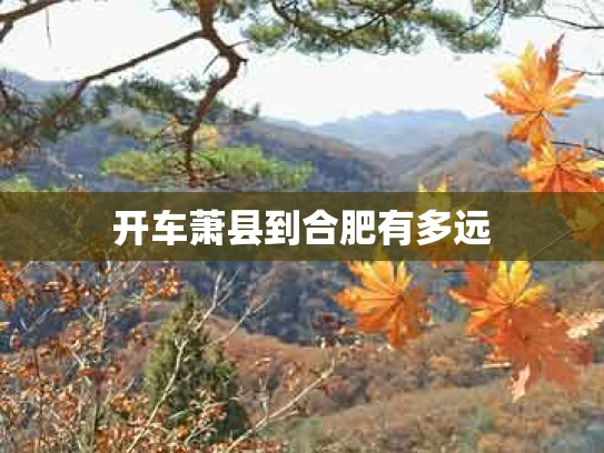 开车萧县到合肥有多远