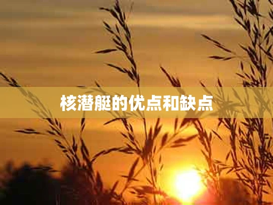 核潜艇的优点和缺点