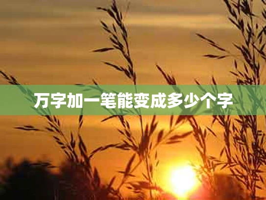 万字加一笔能变成多少个字