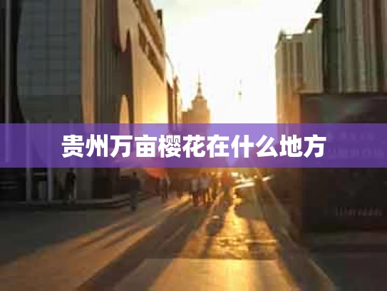 贵州万亩樱花在什么地方