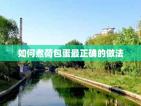 如何煮荷包蛋最正确的做法
