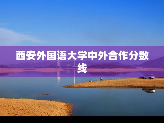 西安外国语大学中外合作分数线