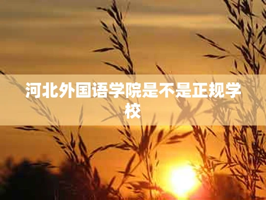 河北外国语学院是不是正规学校