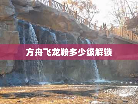 方舟飞龙鞍多少级解锁