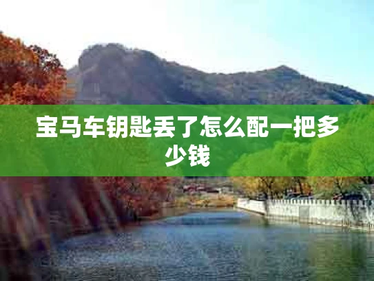 宝马车钥匙丢了怎么配一把多少钱