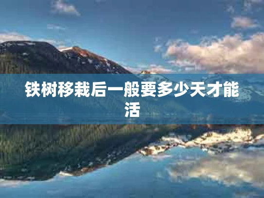 铁树移栽后一般要多少天才能活