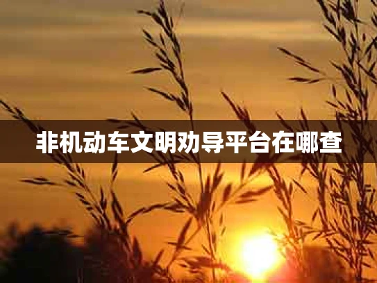 非机动车文明劝导平台在哪查