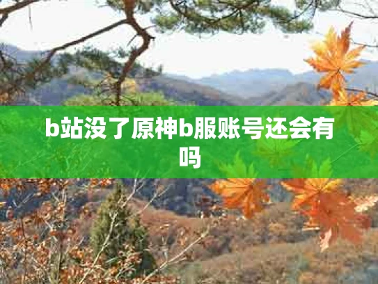 b站没了原神b服账号还会有吗