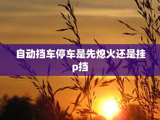 自动挡车停车是先熄火还是挂p挡