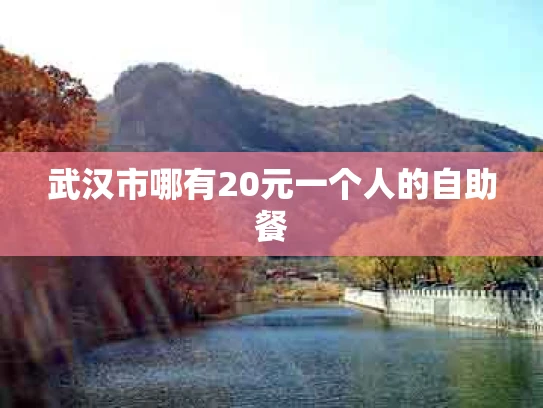 武汉市哪有20元一个人的自助餐