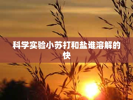 科学实验小苏打和盐谁溶解的快