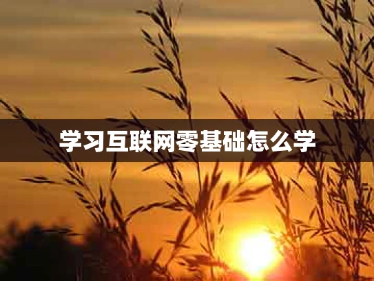 学习互联网零基础怎么学