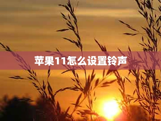 苹果11怎么设置铃声