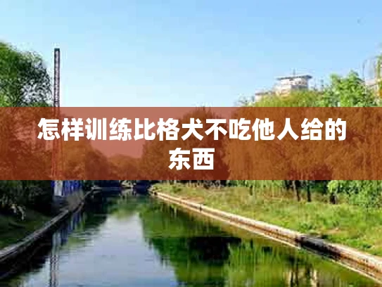 怎样训练比格犬不吃他人给的东西
