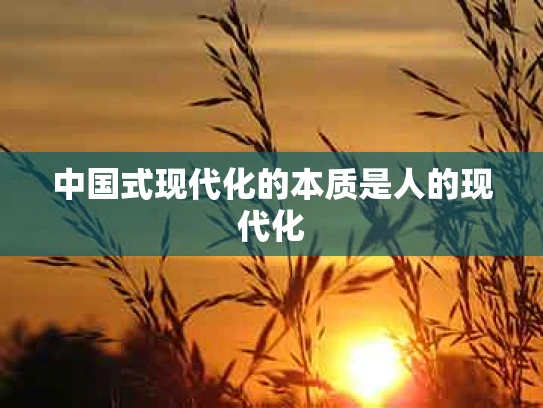 中国式现代化的本质是人的现代化