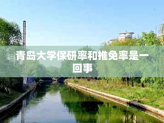 青岛大学保研率和推免率是一回事