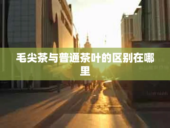 毛尖茶与普通茶叶的区别在哪里