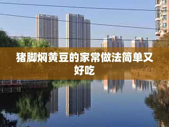 猪脚焖黄豆的家常做法简单又好吃