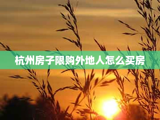 杭州房子限购外地人怎么买房