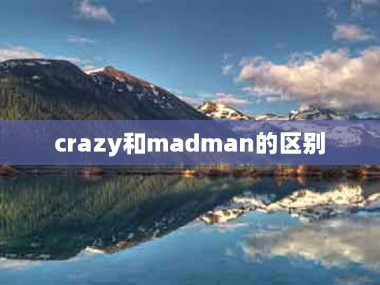 crazy和madman的区别