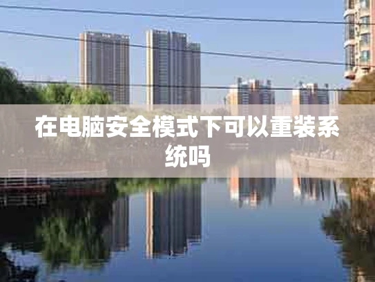 在电脑安全模式下可以重装系统吗