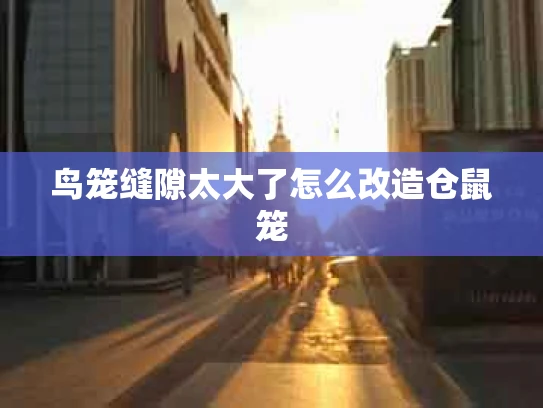 鸟笼缝隙太大了怎么改造仓鼠笼